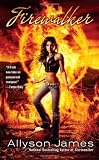 Firewalker (Stormwalker, Book 2)
