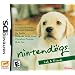 The 40 Most Important DS games 2004-2009