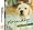 Nintendogs Labrador Retriever & Friends