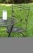 Folding Bistro Chair with Bird Detail