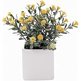 ���i�̏ڍ�