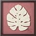 �s�a���A�[�g�t���[���tMONSTERA(�����X�e��)/���ڂ���L�k�a���̘V�ܐ쓇�l