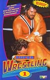 Wrestling 1