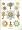 Art Forms in Nature: The Prints of Ernst Haeckel (Monographs)