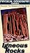 Physical Geography: Igneous Rocks [VHS]
