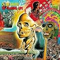 Oh My Gawd!!!...The Flaming Lips