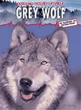Grey Wolf  (Animals Under Threat) (Animals under threat)