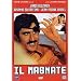 Il Magnate