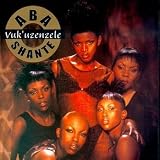 Vuk'uzenzele