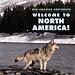 Welcome To North America! (Our Amazing Continents)