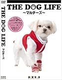 THE DOG LIFE }`[Y [DVD]