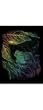 Rainbow Engraving Frog