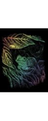 Rainbow Engraving Frog