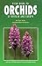 Book Field Guide to Orchids of Britain and Europe