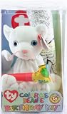 Ty Color Me Beanie Birthday Kit CAT Complete Set Boxed