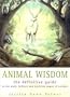 Animal Wisdom