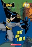 The Batman: Hot And Cold: Hot And Cold