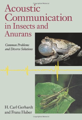 acoustic communication in insects and anurans