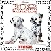 102 Dalmatians: Numbers (Lift-the-Flap)