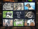 I Love My German Pointer Personalized Photo Tote Bag Navy Blue
