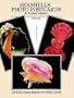 Seashells Photo Postcards: 24 Full-Color Ready-to-Mail Cards (Card Books)