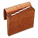 Globe-Weis Letha-Tone 6-Pocket Student File, Letter Size, Brown, (MM38L)