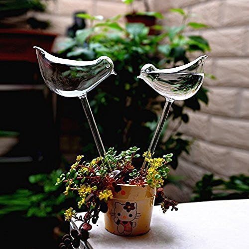 Family Together 1pcs Bird Shape Design Hand Blown Clear Glass Self Watering Aqua Globes Small Plant Watering Bulbs 1