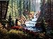 Mountain Splendor - Blank Card Assortment by Leanin' Tree (AST90648) - 20 cards with full-color interiors and 22 full-color envelopes