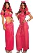Sexy Harem Girl Costume