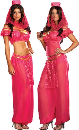 Sexy Harem Girl Costume