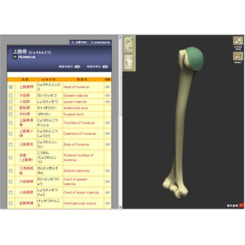 CGで見る骨の辞書　骨ナビ2.0骨触診動画付（アカデミック版）