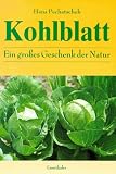 Das Kohlblatt: Ein gro�es Geschenk der Natur