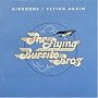 Flying Again/Airborne