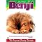 Movies I watched with my dog