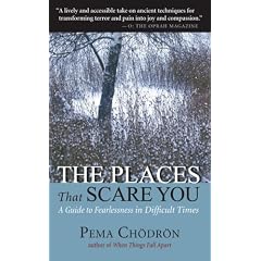The Places That Scare You: A Guide to Fearlessness in Difficult Times
