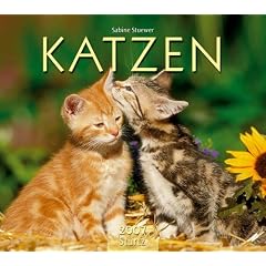 Katzen 2007 Kalender.