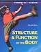 Structure and Function of the Body