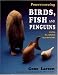 Book Powercarving Birds, Fish and Penguins Using Beautiful Hardwoods