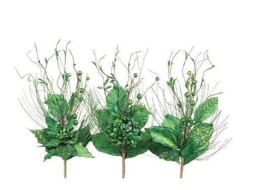 Club Pack of 12 Green Poinsettia, Amaryllis & 