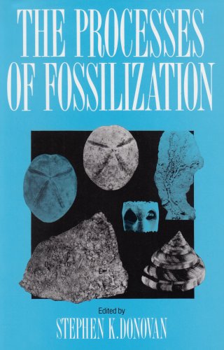 the processes of fossilization