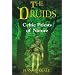 learn more about Druidry throughout the ages