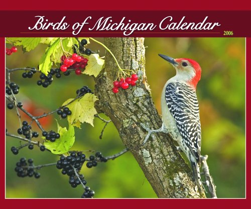 Birds Of Michigan 2006 Calendar