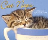 Cat Naps 2008 Daily Boxed Calendar