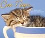 Cat Naps 2008 Daily Boxed Calendar