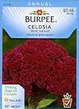 Burpee 47100 Celosia Red Velvet Seed Packet