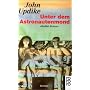 Unter dem Astronautenmond