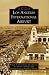 Books : Los Angeles International Airport (Images of Aviation)