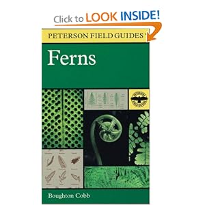 A Field Guide to Ferns and their related families: Northeastern and Central North America with a section on species also found in the British Isles and Western Europe (Peterson Field Guides)