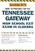 Book How to Prepare for the Tennessee Gateway High School Exit Exam in Algebra (Barron's How to Prepare for the Tennessee Gateway High Algerba)