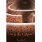 Exciting Adventures Through History (Young Adult & Teen)